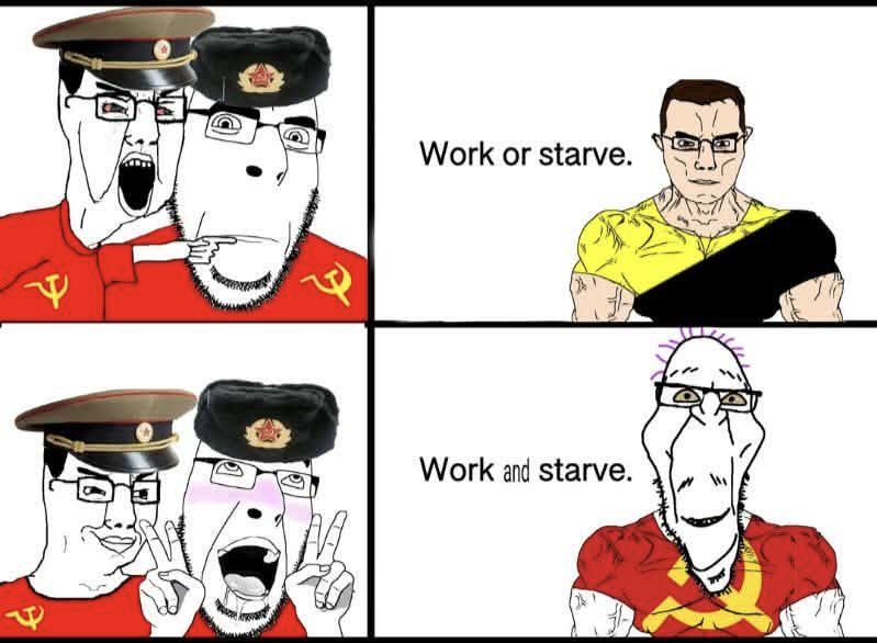 Rothmus 🏴 tweet media