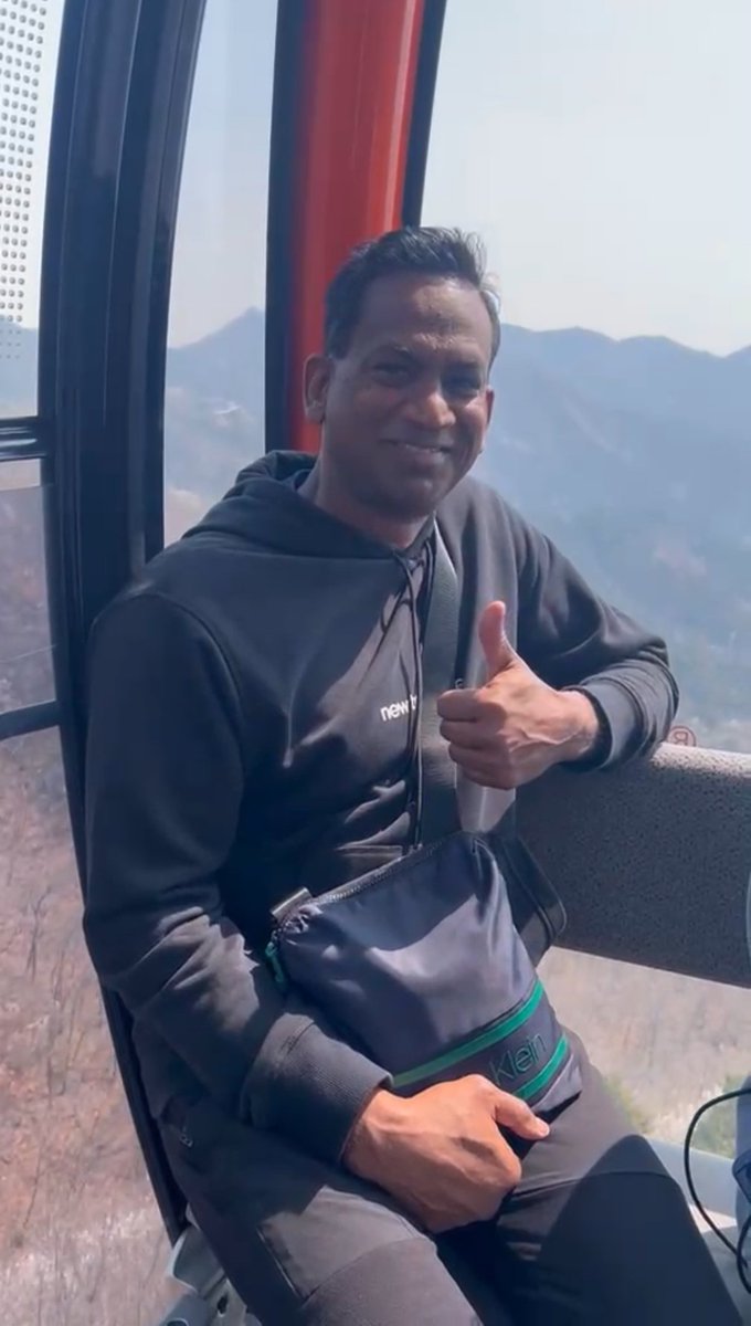 Cows Gone Mad tweet media