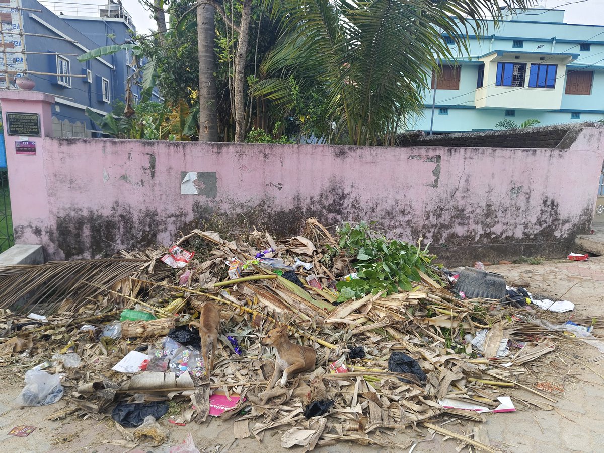 inmaking5566's tweet photo. @AnandapurMunic1 @DistAdmKeonjhar 
Ward no -6, Basuli Sahi
Look at the situation. Poor cleanliness.
Foul smells &amp; mosquitoes.
Sir kindly take immediate step and ensure proper waste disposal and sanitation. https://t.co/dYvqxtzbyV