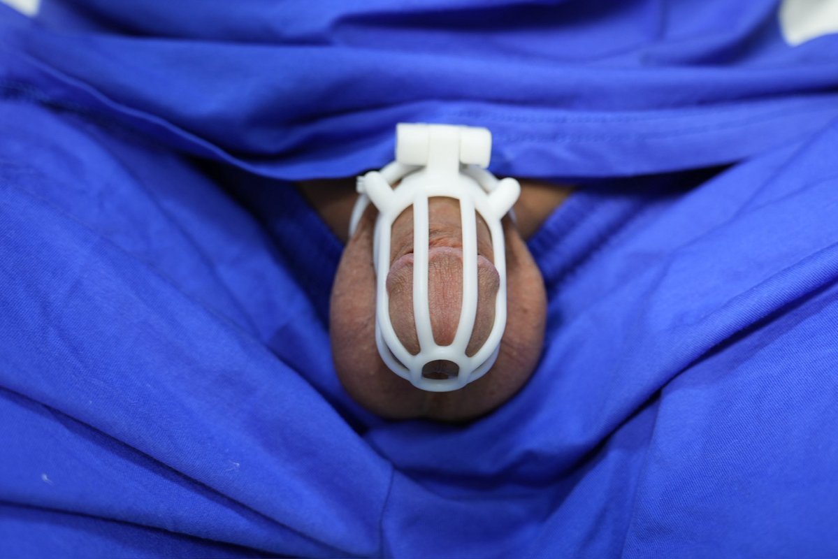 凯凯小狗 tweet media