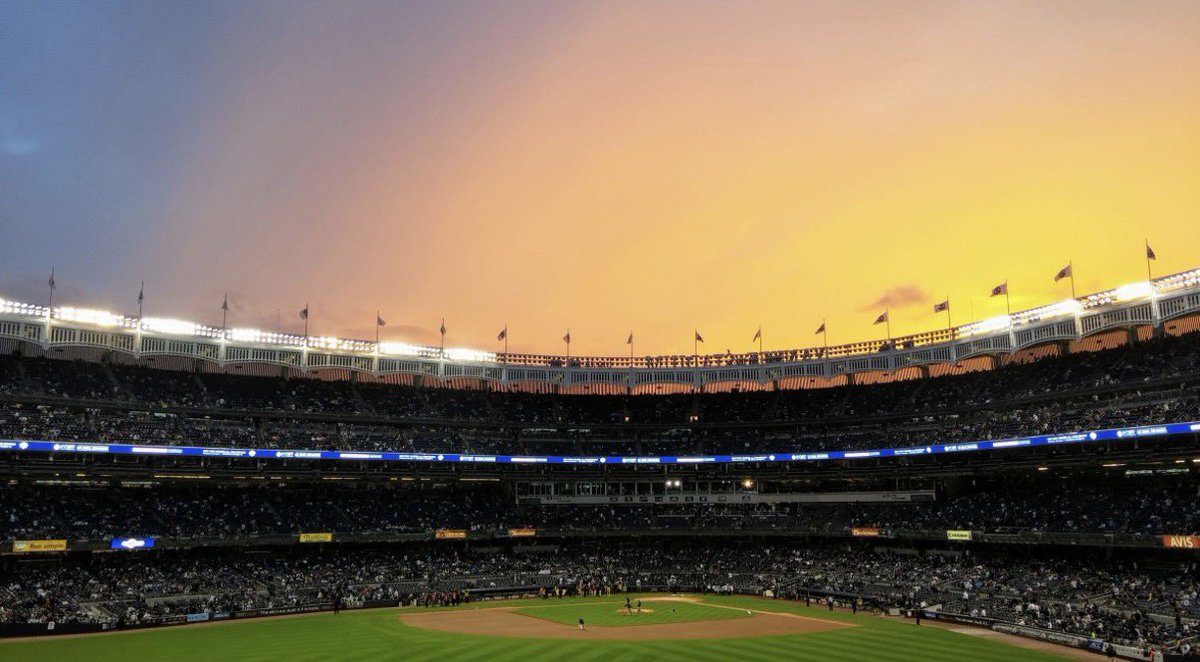 Ryan Vivian tweet media