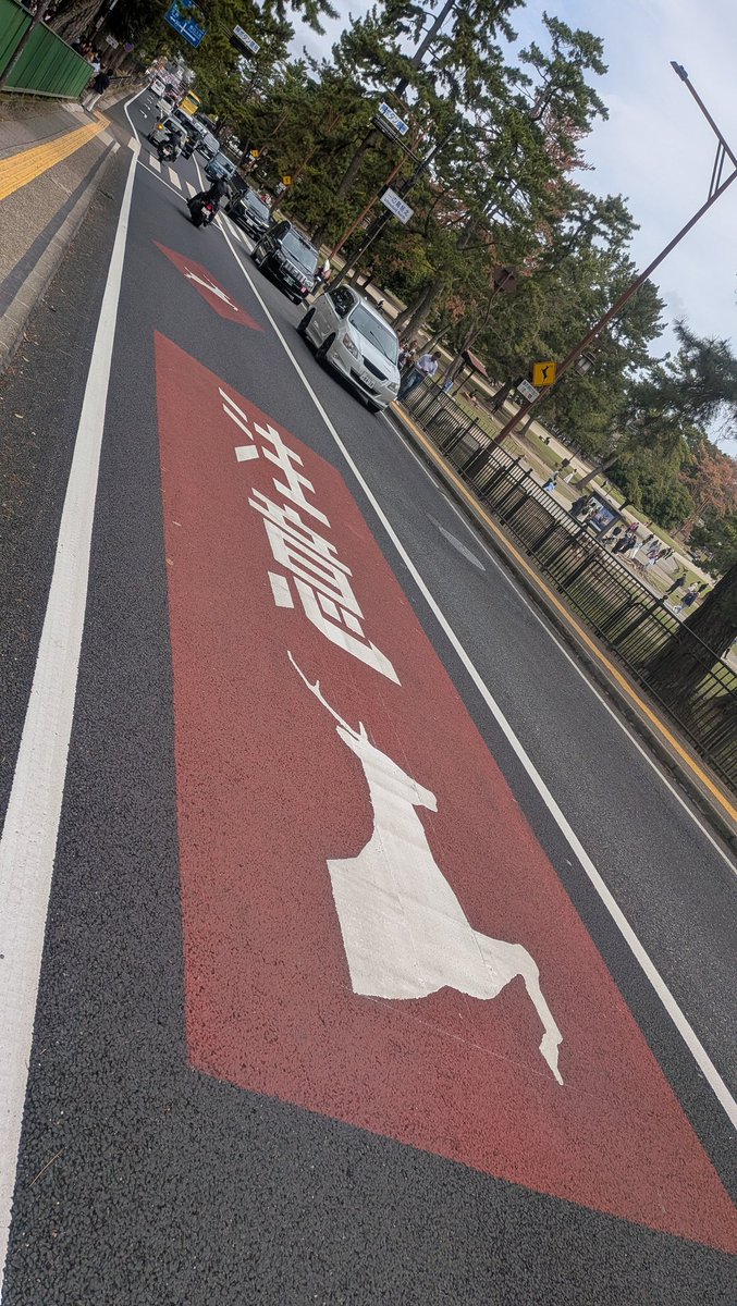 タコ娘🐙 tweet media