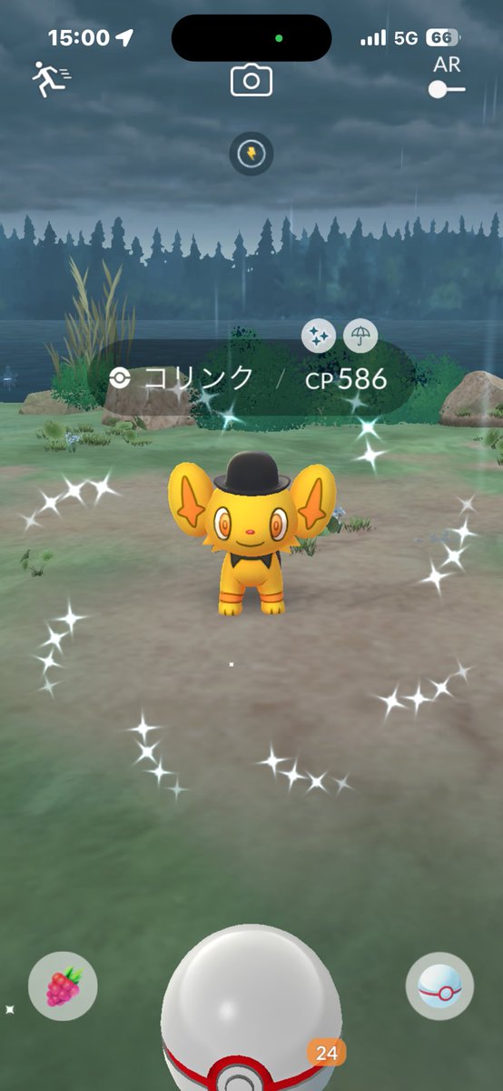 Ⓜ️色違い好きだぁ〜 tweet media