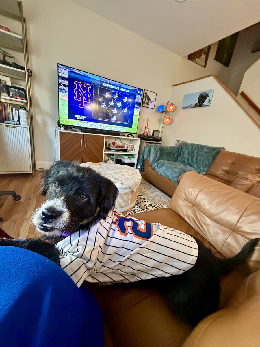 Alex Bee tweet media