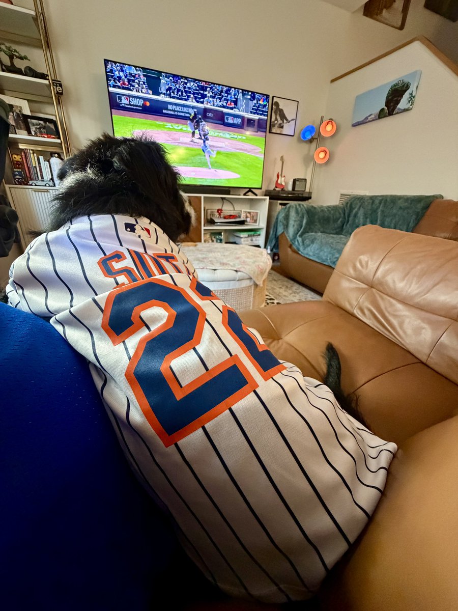 Alex Bee tweet media