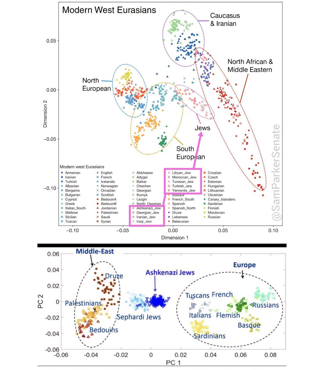 Fenikkusu tweet media
