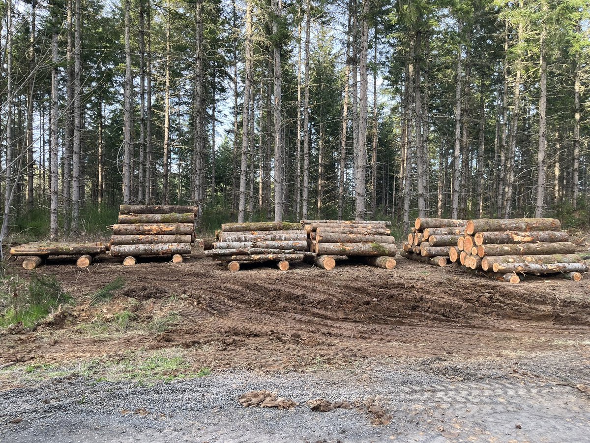 Lloyd Hogan tweet media