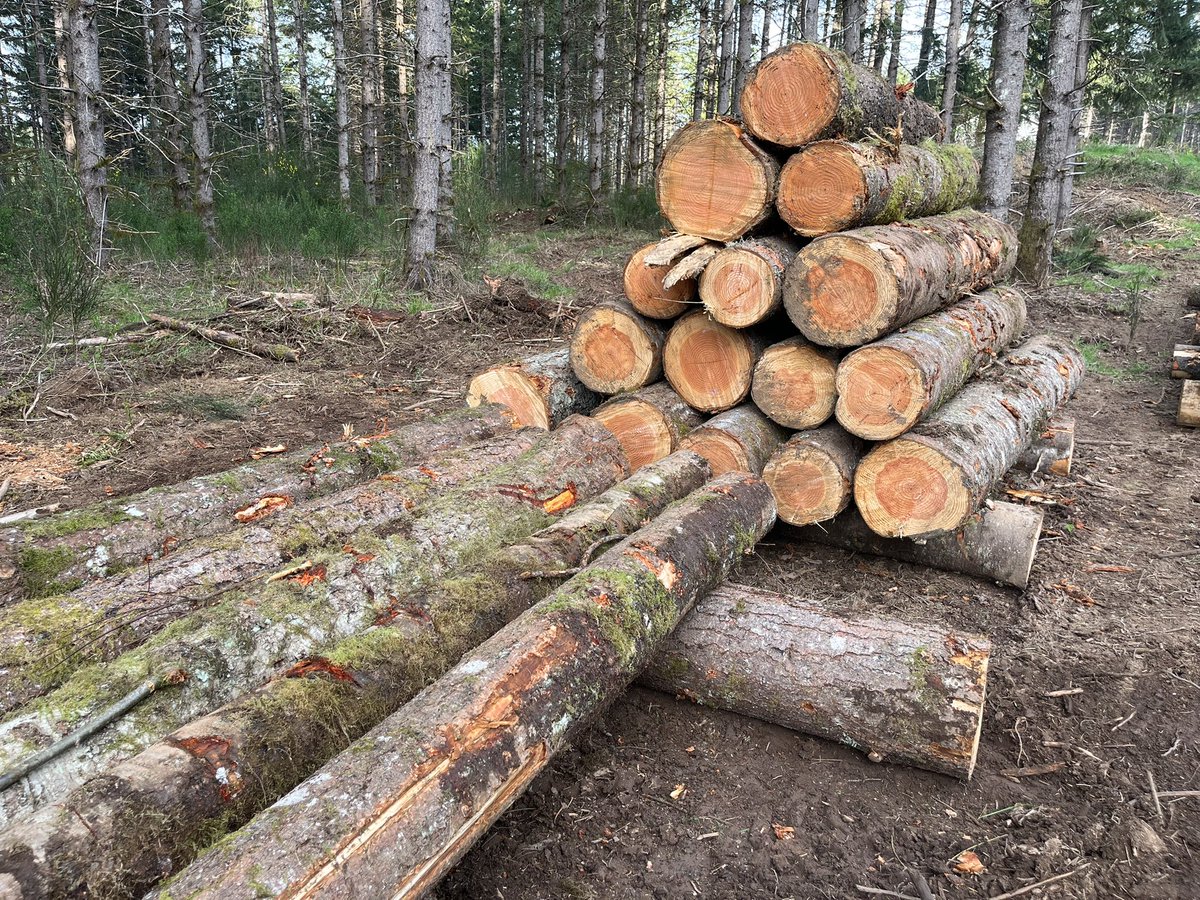 Lloyd Hogan tweet media