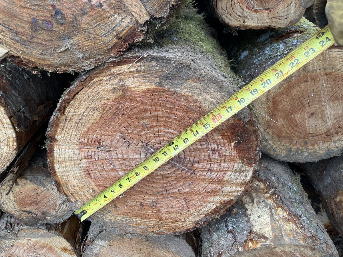 Lloyd Hogan tweet media