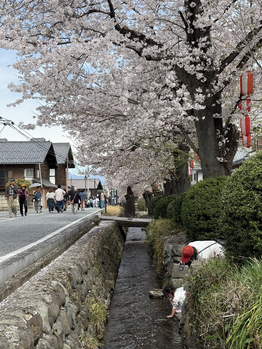 ATOMIC BILGUUN tweet media