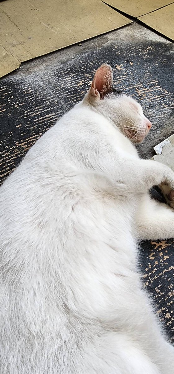 Moverine tweet media