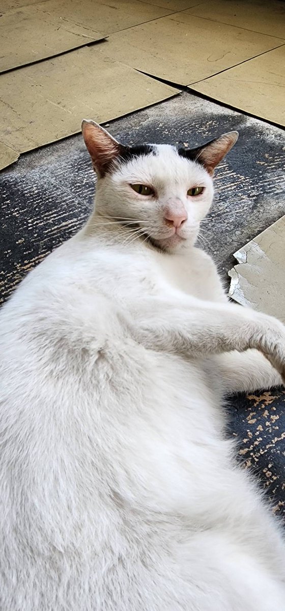 Moverine tweet media