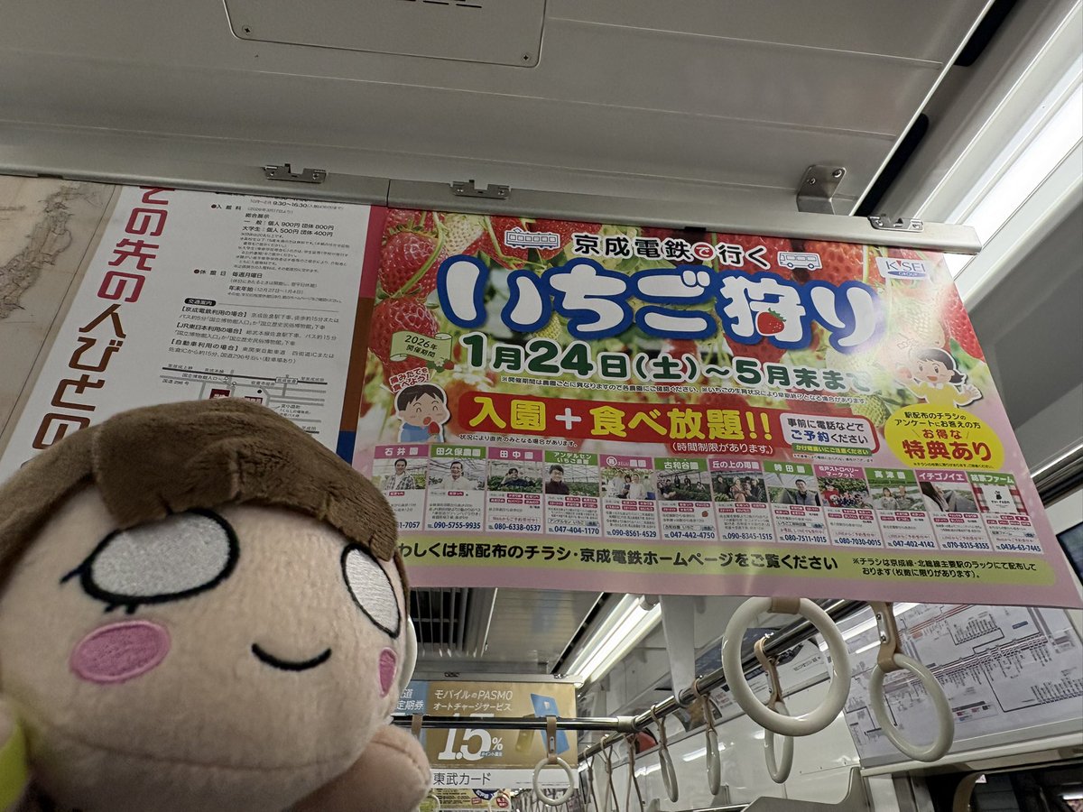 ✨🏹 lilly best 7 🎸✨ tweet media