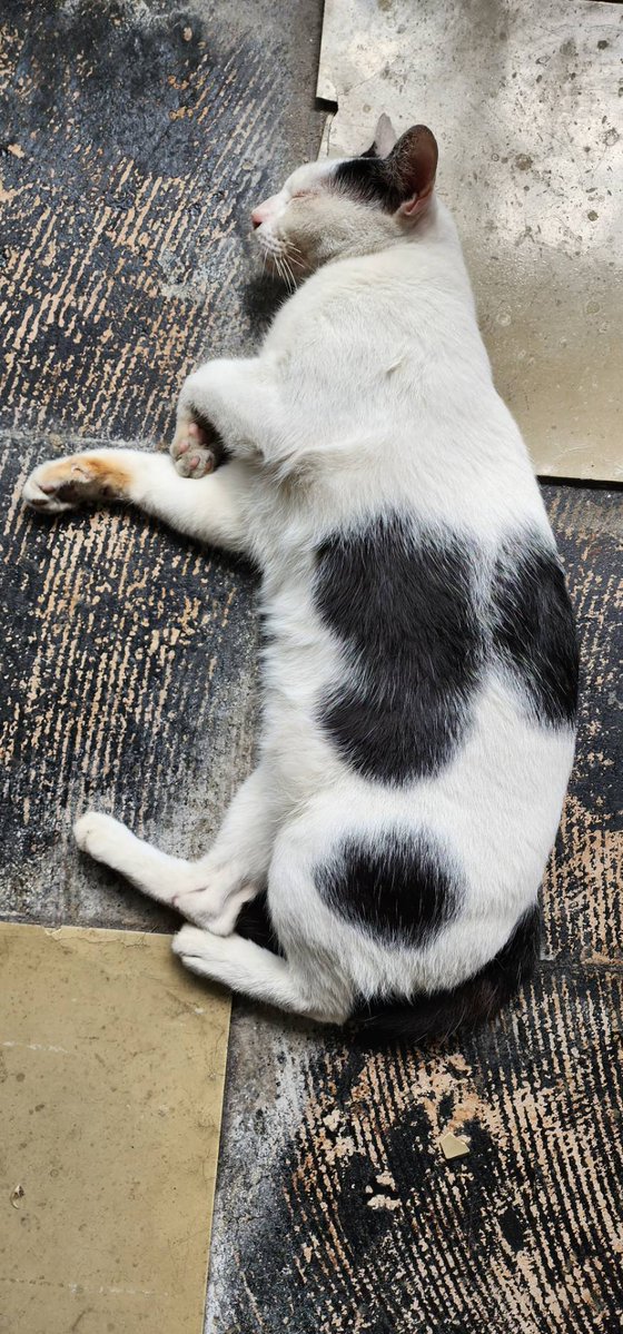 Moverine tweet media