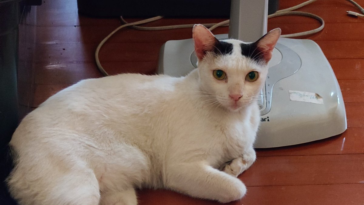 Moverine tweet media