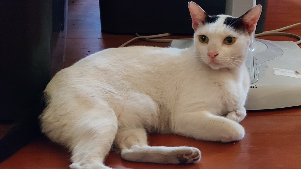 Moverine tweet media