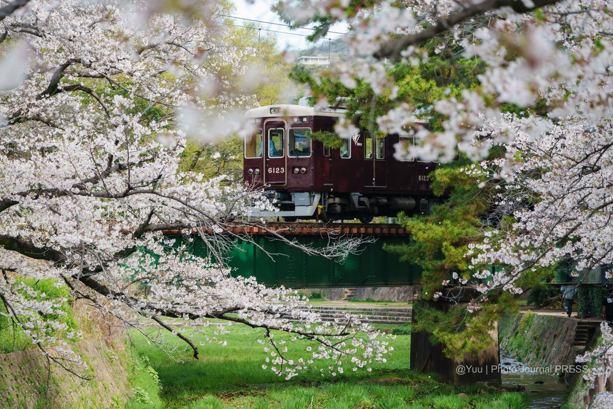 Yuu | Photo Journal PRESS tweet media