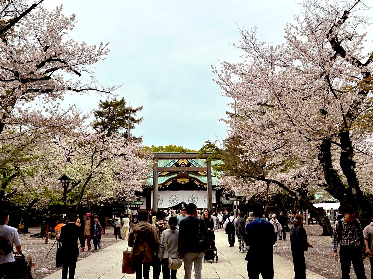 まこ@Ⓜ️akogang tweet media