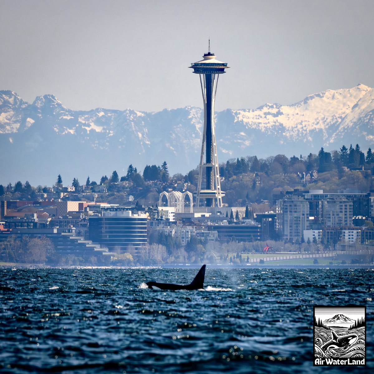 AirWaterLand Photography tweet media