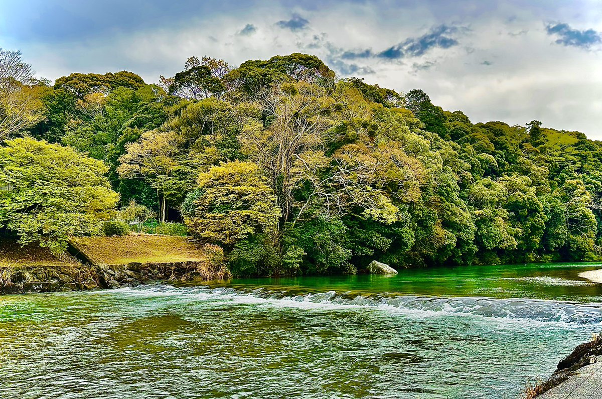 にひぃみ tweet media