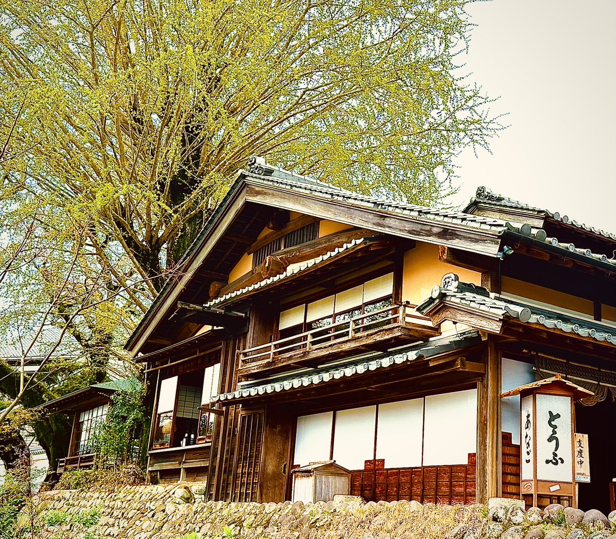 にひぃみ tweet media