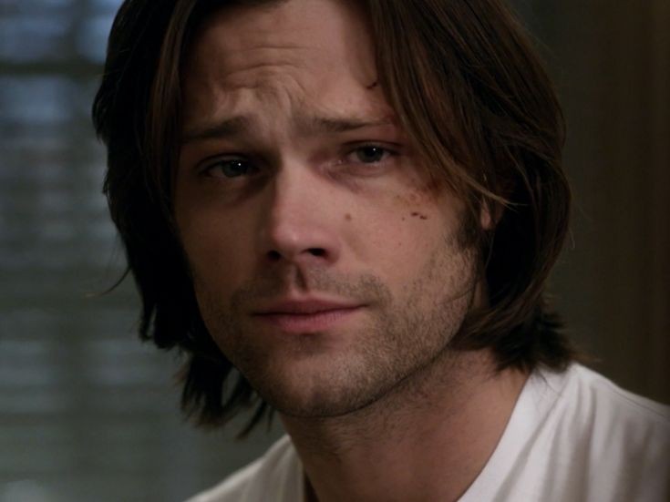 ▪︎ TB S5 tweet media