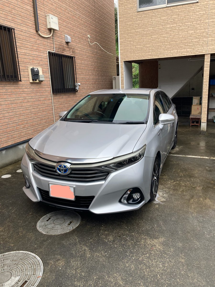 いっきん 🐷🍞 tweet media