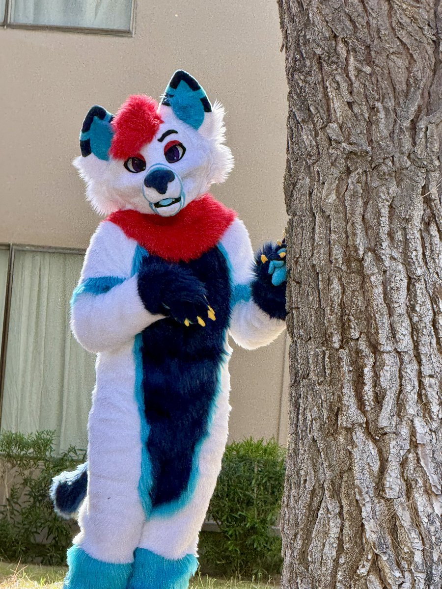 🐾🦊Kimbo🐕🐾🔜LVFC tweet media