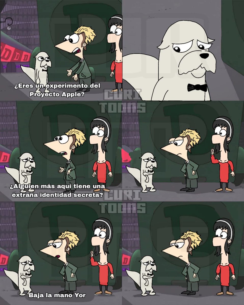 Condor Causa tweet media