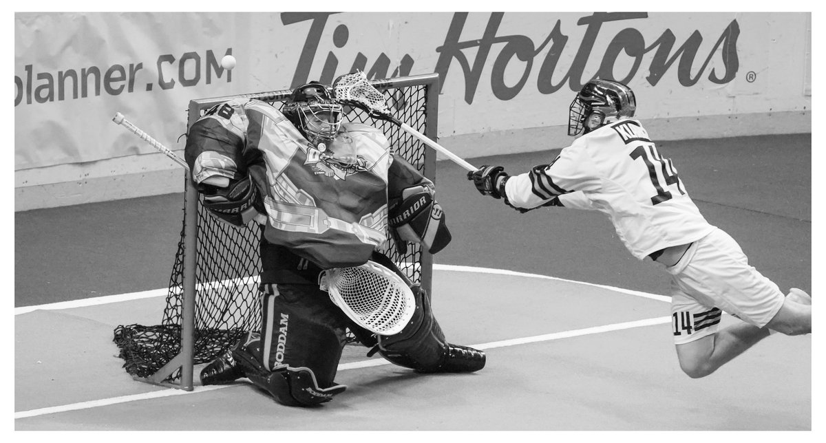 Harry Scull Jr tweet media