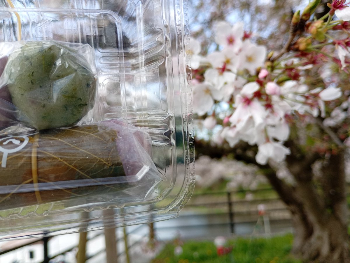 テニヌのおぢ様ザクさん tweet media