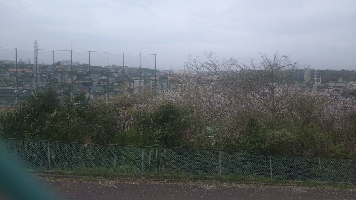 すこみ tweet media