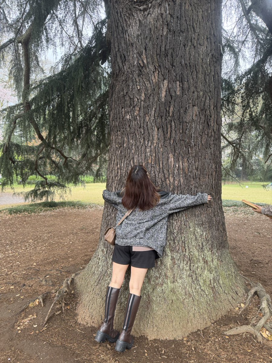 ちろる໒꒱. tweet media