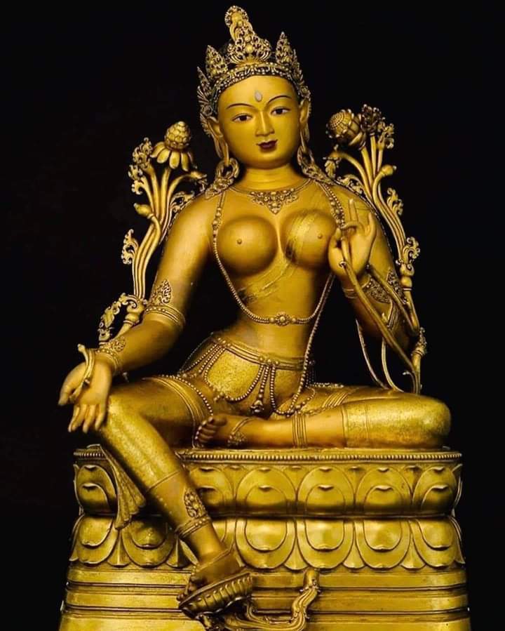 Lkhamsuren Tsogtbayar tweet media