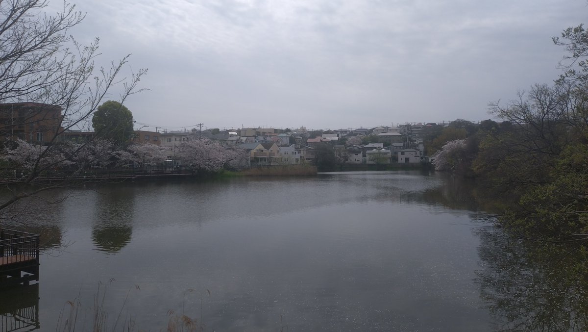 すこみ tweet media