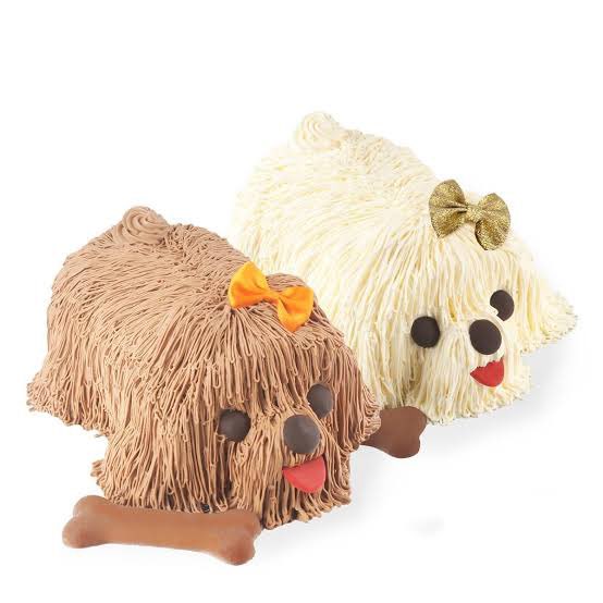 mars! ♡ 11 year phanniversary! tweet media