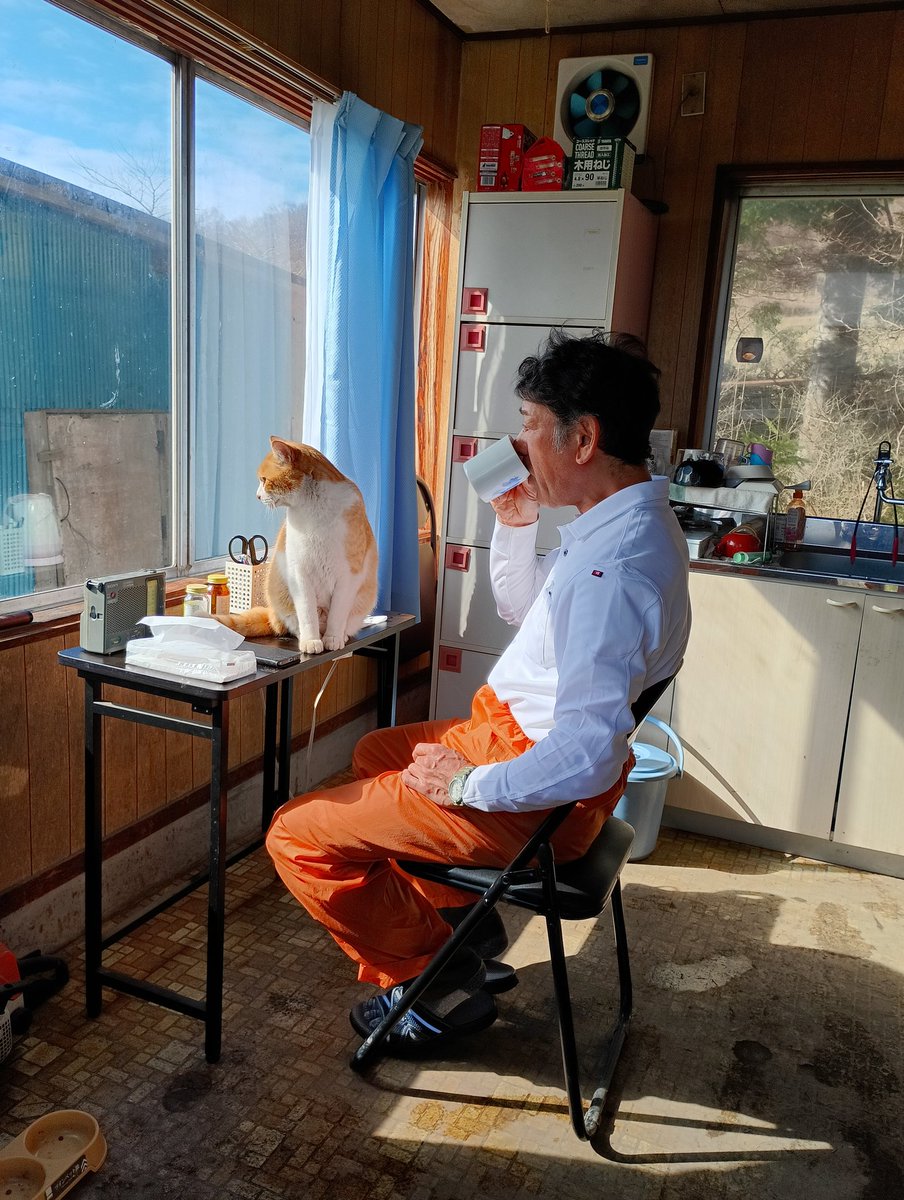 Northern Lake🐴クラファンご支援ありがとうございました‼️ tweet media