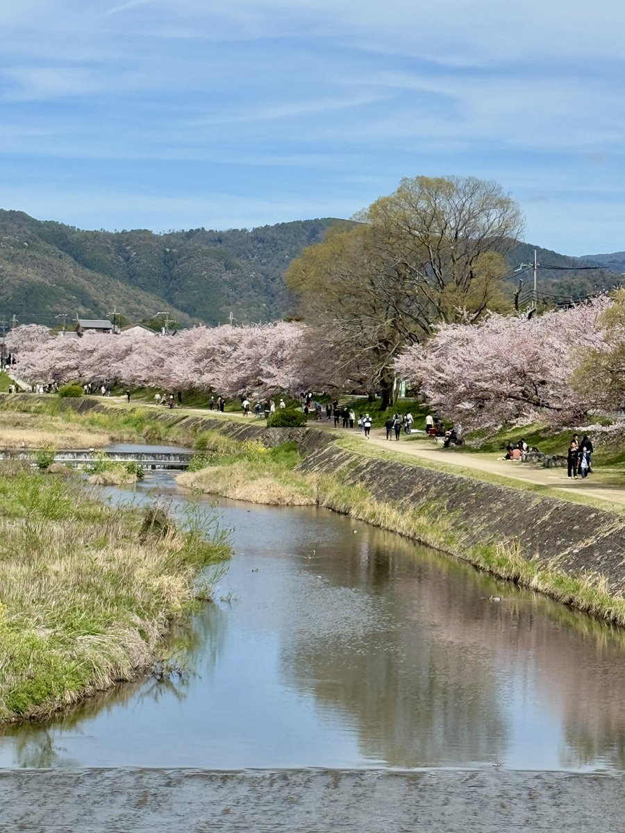 kyotowonderland tweet media