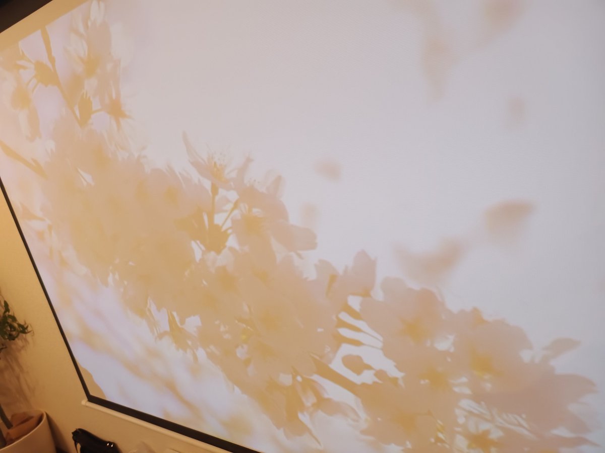 いっぺぃ tweet media