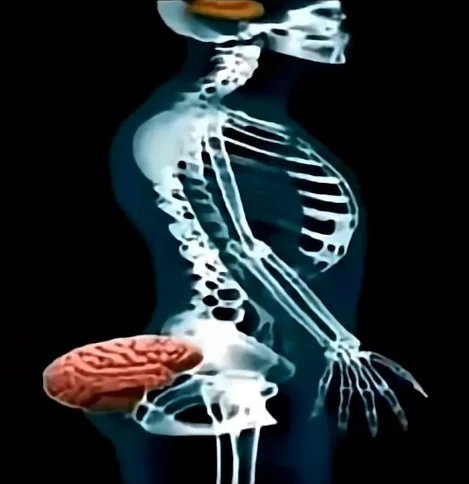 ʕ •ᴥ• ʔ tweet media