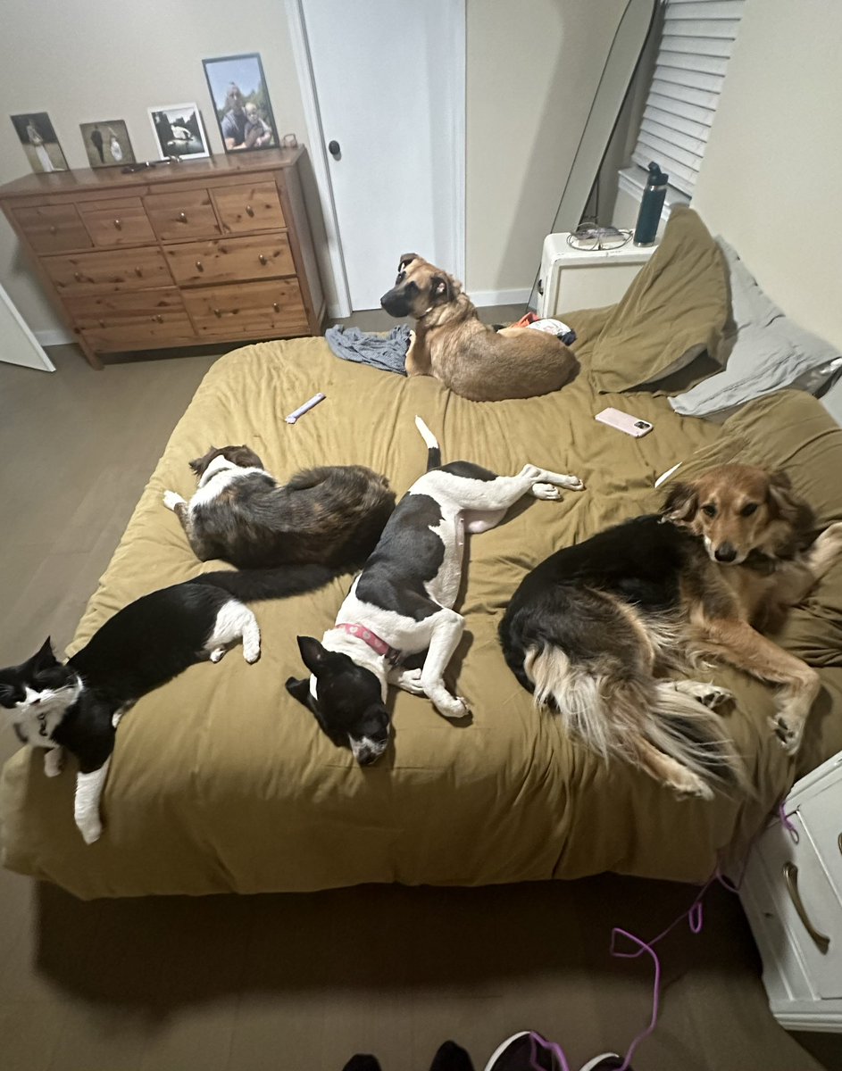 Vance Murphy tweet media