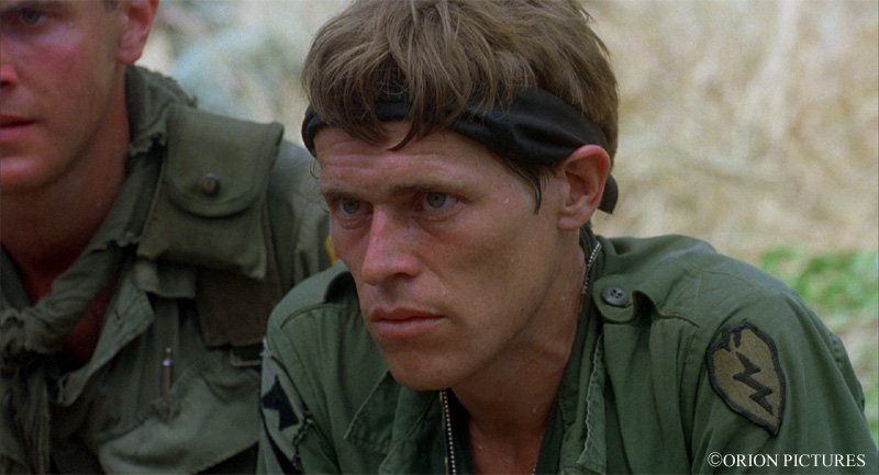 𝚎𝚖𝚞 🐑໒꒱·̩͙⋆.* tweet media