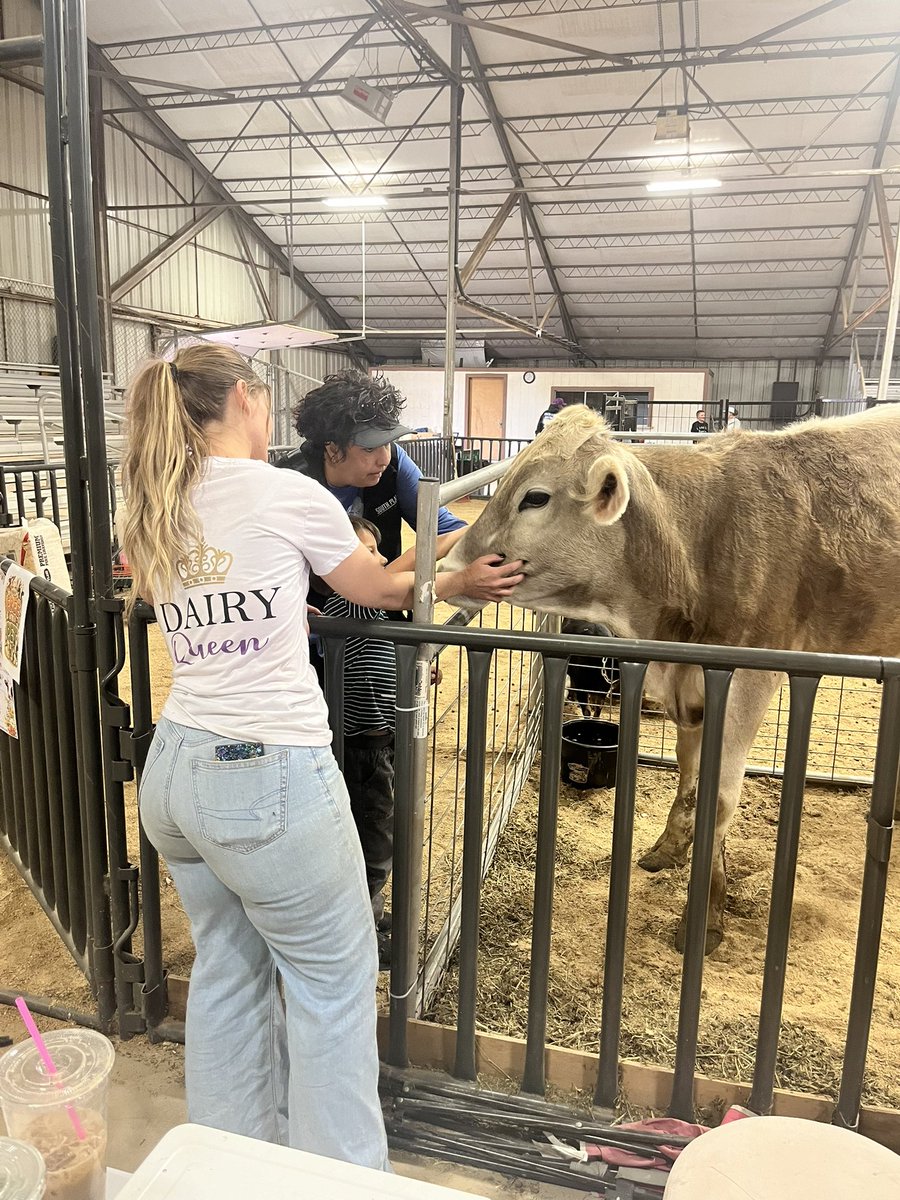 Like Wildflowers Homestead tweet media