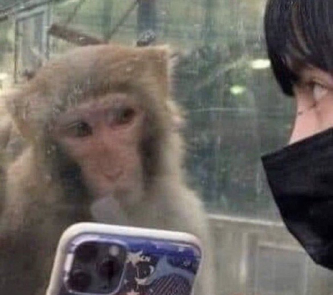 Andrew ‎🪩 EQUILIBR𝕀𝕍M 𐚁 tweet media