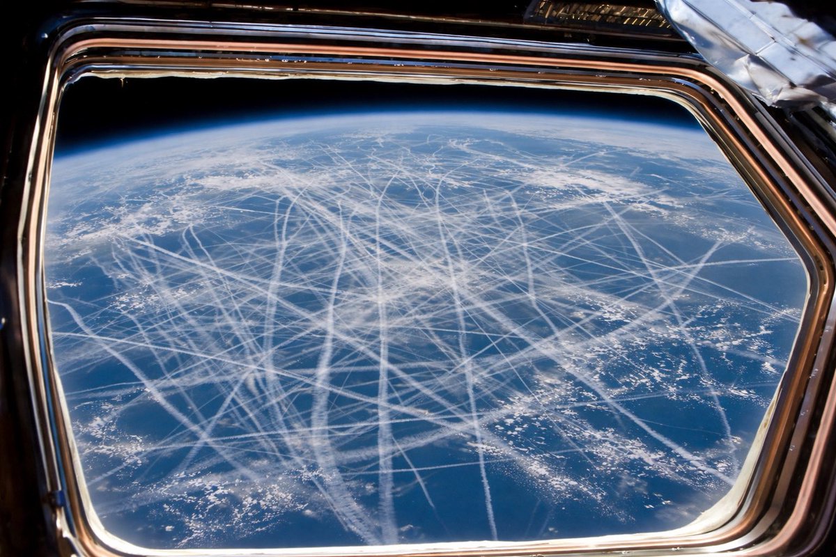 Dr. Ben Tapper tweet media