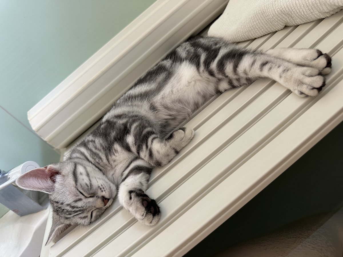 田畑由秋 Tabata Yoshiaki 타바타 요시아키 tweet media