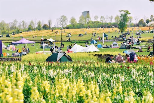 Tony Buổi Sáng tweet media