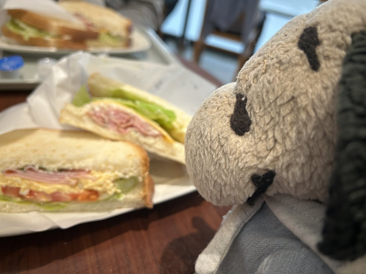 ヌー君の独り言 tweet media