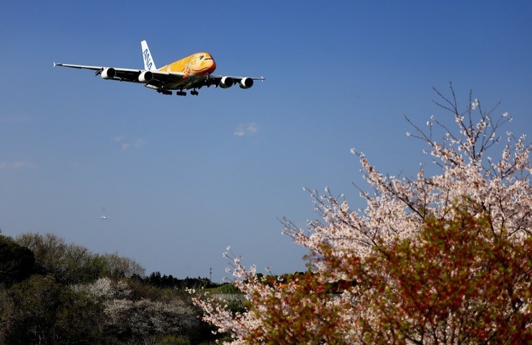 Shimajiro tweet media