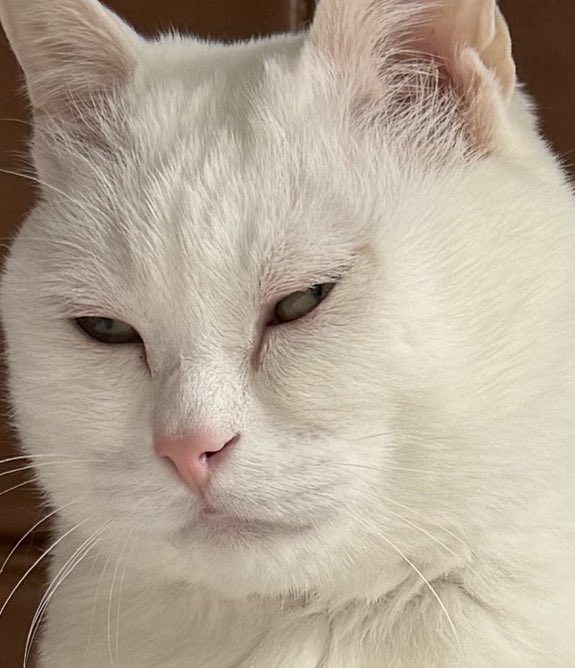 冰比冰水冰 tweet media